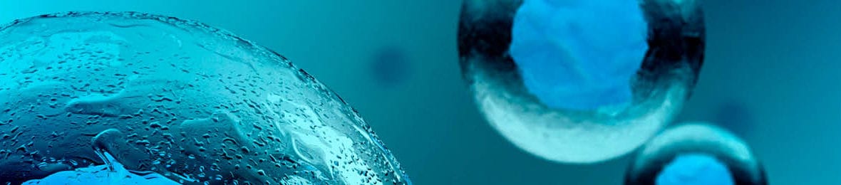 Biology - CLEP Test Prep